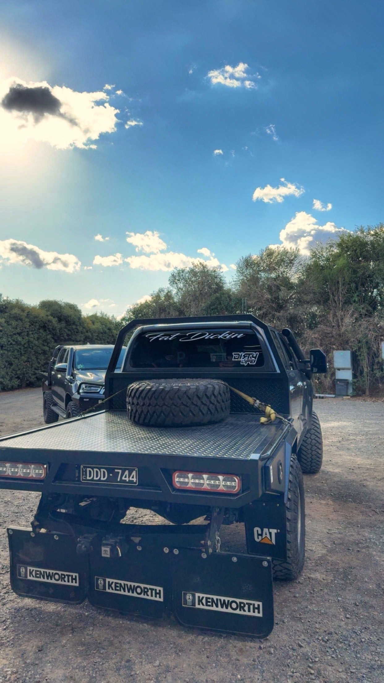 Fat Dickin Window banner