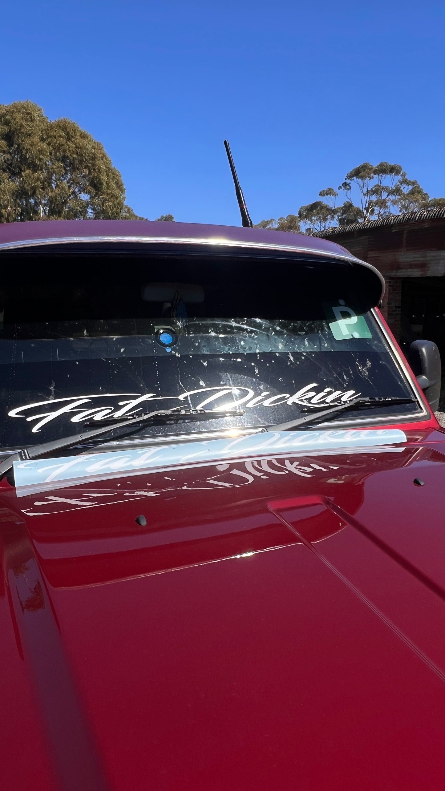 Fat Dickin Window banner